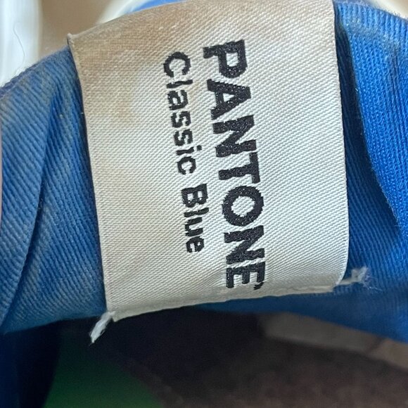 Cariuma Unisex Pantone Canvas Low Top Lace-Up Sneakers Classic Blue 8.5M 10W - Picture 3 of 15